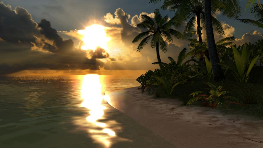 caribbean, beach, lagoon, sand, water, palms, sun, tropical, nature, landscape