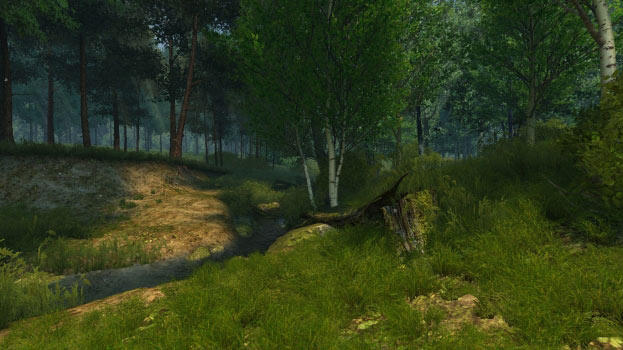Summer Forest Скриншот