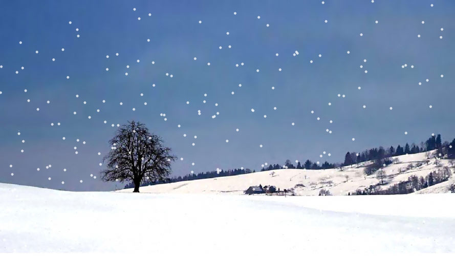 snow, snowflakes, winter, landscape, nature, desktop