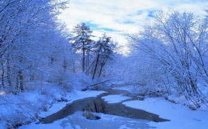 природа, весна, зима, снег, лес, река, пейзаж