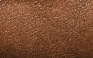leather, brown, structure, clothing, nature, of course, abstract, texture