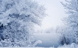 snow, winter, landscape, branches, grass, fog, river, water, frost