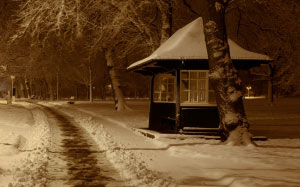 зима, ночь, снег, парк, деревья, беседка, новый год, рождество