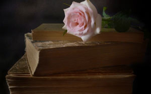 book, still life, rose, flower