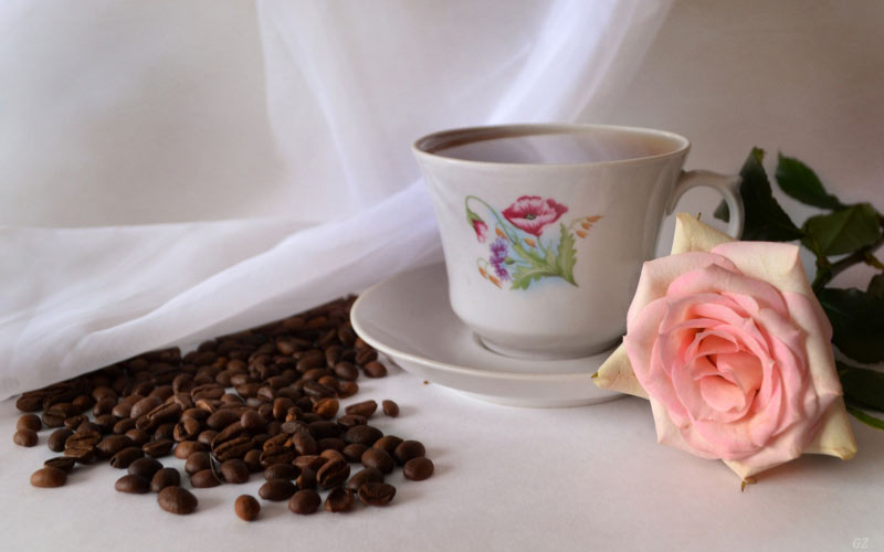 кофе, натюрморт, роза, цветок, чашка, этюд