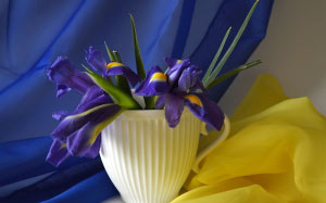 bouquet, irises, flower arrangement, flowers