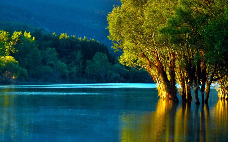 вода, озеро, отражение, деревья, природа