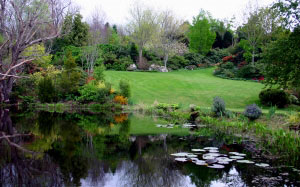 garden, park, pond, lake, trees, flowers, flower, bloom, beds, lawn, hill, lilly, lillies, lillypad
