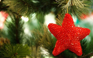 branch, celebration, christmas, decor, decorate, decoration, holiday, merry, noel, ornament, red, shiny, star, tree, winter, xmas