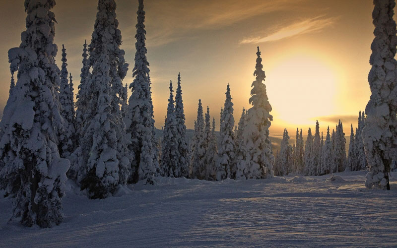 зима, канада, снег, лес, природа, пейзаж, закат, вечер