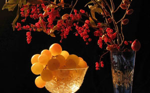 barberry, grape, still life, night, autumn, fruits