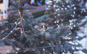 Christmas, Xmas, holidays, christmas tree, lights