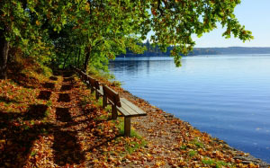 autumn, nature, landscape, trees, lake, bench, trail, road, path
