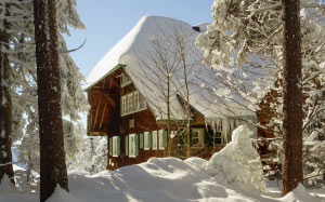snow, wood, forest, winter, hut, cottage, lodge, nature