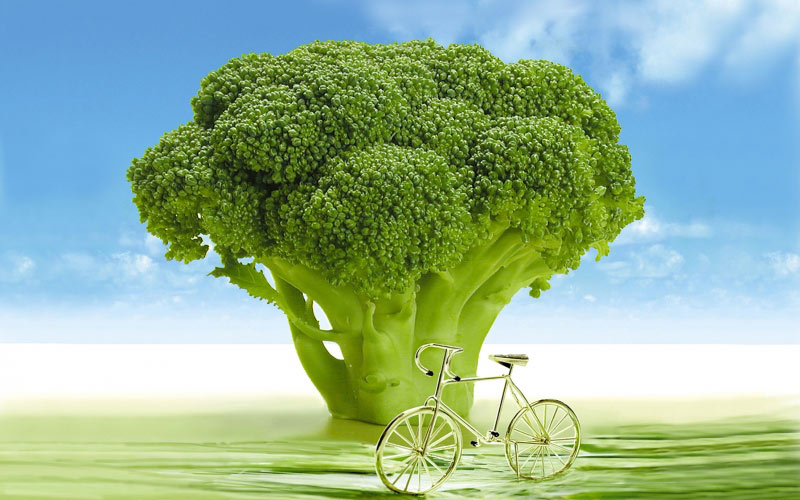 vegetables, broccoli, arboretum, spring, bicycle