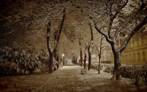 снег, зима, январь, город, парк, вечер, ночь