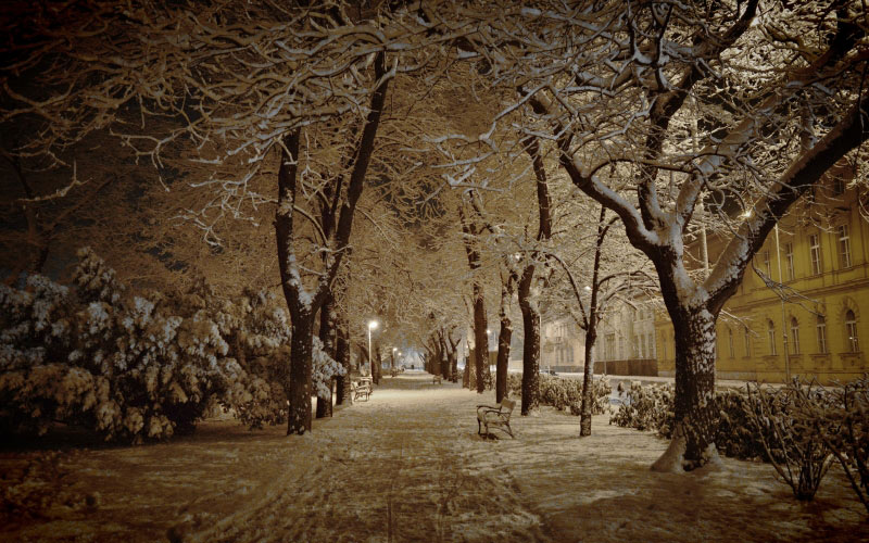снег, зима, январь, город, парк, вечер, ночь