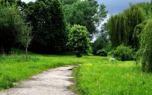 grass, trees, park, path, green, spring, nature