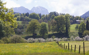 spring, sunshine, may, mountains, wendelstein, trees, nature, landscape, pasture fence