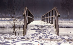 bridge, snow, winter, nature, wood, forest, river