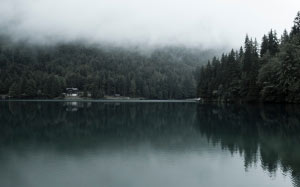 рассвет, осень, озеро, пейзаж, туман, утро, природа, никого, на открытом воздухе, пруд, отражение, река, лес, вода