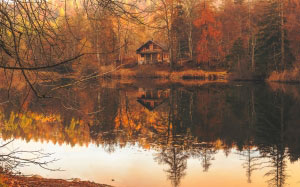 autumn, fall, cottage, house, home, cabin, lake, water, reflections, nature, outdoors, forest, trees, woods, country