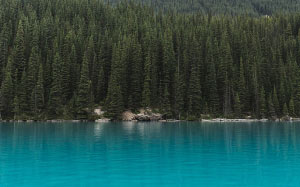 Морейн Лейк, Канада, хвойные деревья, вечнозеленый, лес, зеленый, голубой, синева, идиллический, озеро, пейзаж, гора, сосны, ре