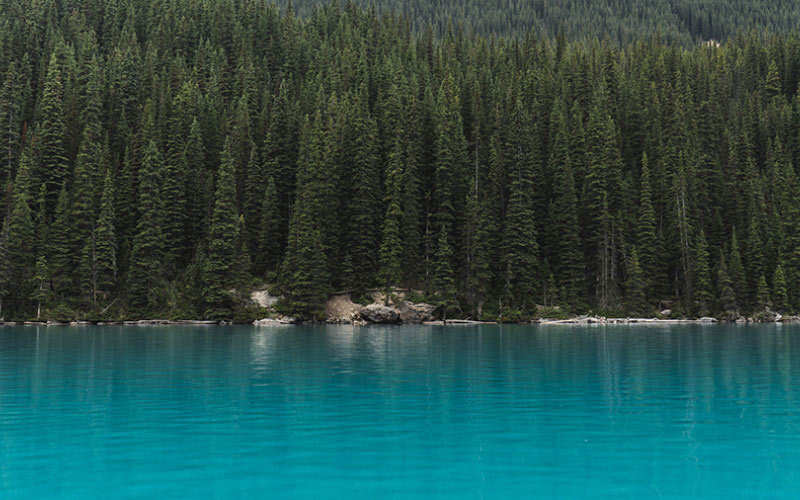 Морейн Лейк, Канада, хвойные деревья, вечнозеленый, лес, зеленый, голубой, синева, идиллический, озеро, пейзаж, гора, сосны, ре