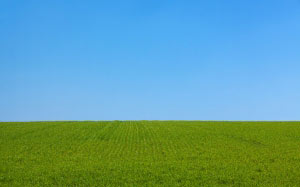 background, blue, clear, day, field, grass, green, landscape, lawn, nature, sky, spring, summer