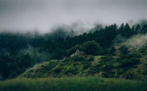 clouds, cloudy, foggy, forest, grass, landscape, meadow, nature, trees, mountain