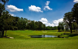 shoals course, alabama, golfing, sand trap, sports, sky, clouds, summer, nature, outdoors, trees, woods, grass, pond
