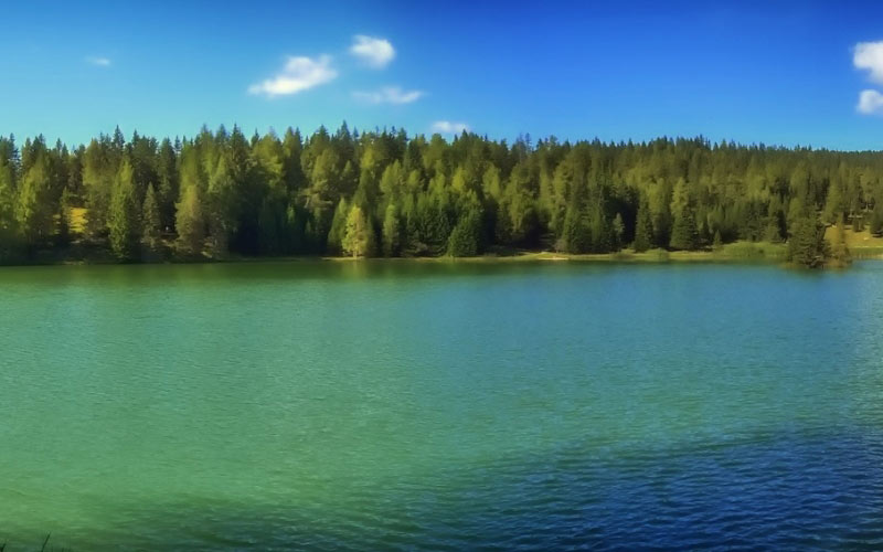озеро феликсер, живописное, италия, лес, деревья, озеро, вода, панорама, лето, природа