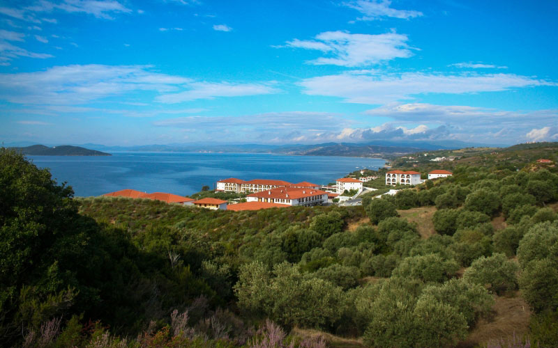 sea, coast, hotel, landscape, olives, trees, mediterranean, summer, greece, travel, mountains