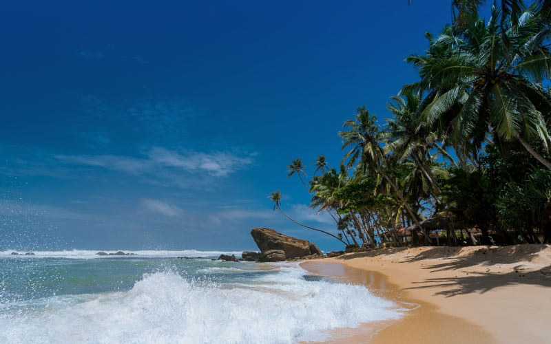 пляж, кокосовые пальмы, идиллический, остров, океан, релаксация, курорт, песок, море, морской пейзаж, морское