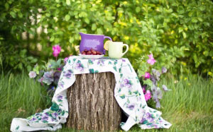 summer, still-life, pitcher, garden, outdoors, tea party, nature, grass