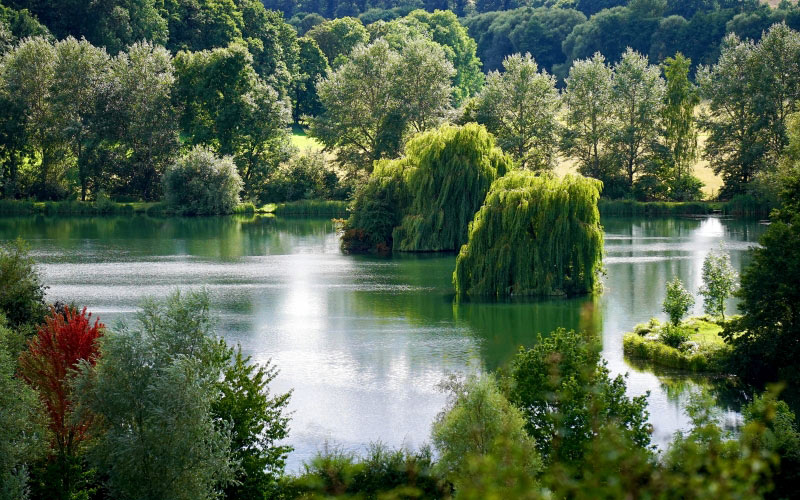 countryside, forest, grass, green, lake, landscape, nature, outdoor, park, plants, trees, water