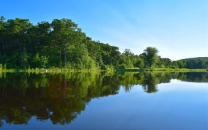 пруд, озеро, деревья, вода, отражение, пейзаж, природа, небо, синий, лес, лето, зелень, на свежем воздухе