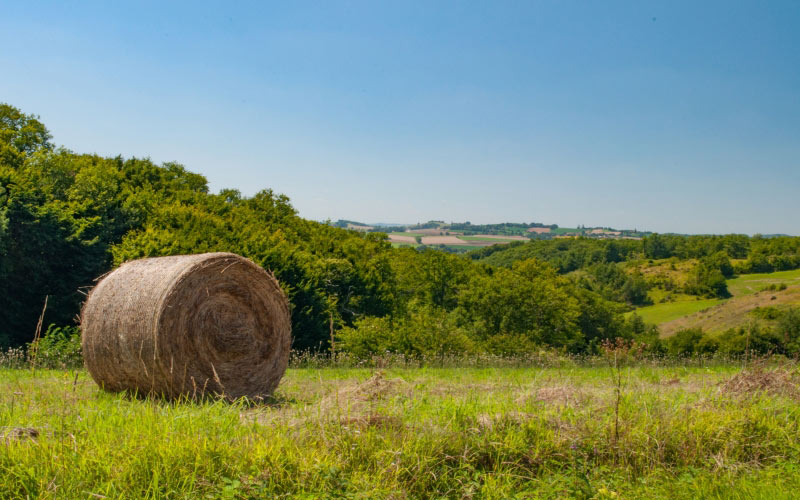 summer, harvest, field, nature, stubble, straw bales, agriculture, sky, blue, clouds, roll, france, grass, bushes, shrub, meadow