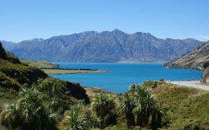 озеро хавеа, отаго, новая зеландия, пейзаж, природа, горы, озеро, пальмы, вид