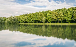 зеркало, деревья, озеро, вода, тихий, природа, отражение, лето, лес, парк, пейзаж