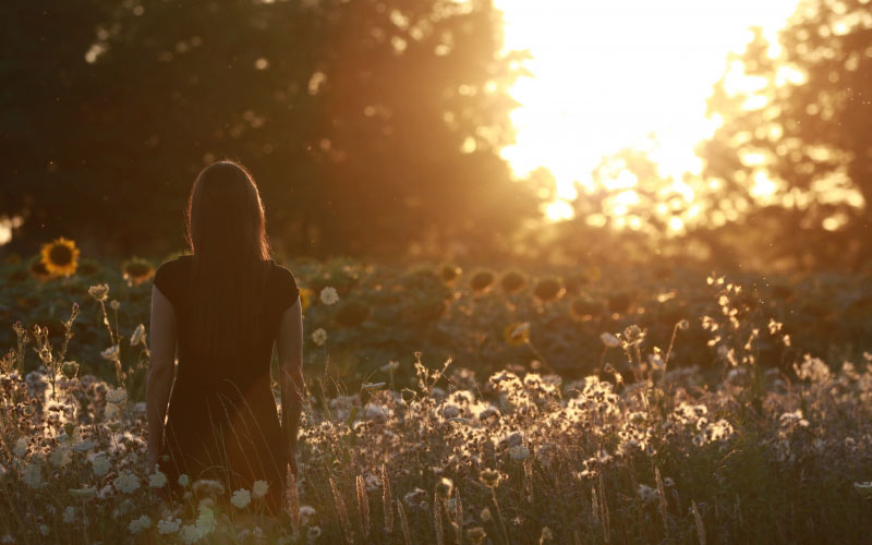 flowers, countryside, field, landscape, nature, outdoors, rural, scenic, sunset, woman, girl, grass, evening