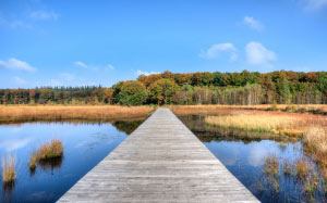 осень, вода, пристань, красочный, голубое небо, сезон, озеро, пирс, природа, пейзаж, спокойствие, лес