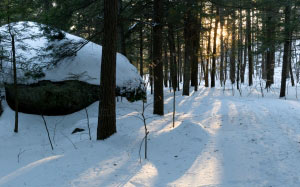 природа, пейзаж, деревья, лес, солнечный свет, снег, зима, камень