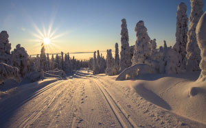 finland, lapland, wintry, skiing, trail, path, sun, sunset, winter, sunbeam, rays, snow, road