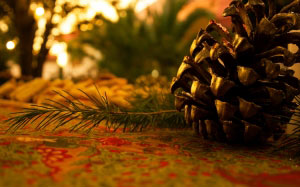 шишка, сосновая шишка, новый год, сосна, рождество, праздник, ель, украшение, декоративный, праздничный, ёлочка, позолота
