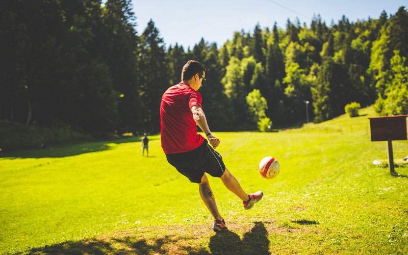 soccer, football, ball, sports, grass, sun, lawn, nature, trees, forest, recreation
