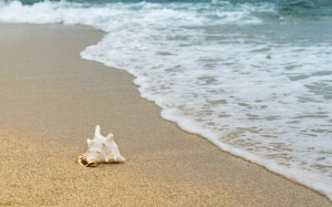 beach, coast, sea, natural, ocean, paradise, relax, resort, sand, scalloped, shell, shore, summer, travel, tropical, water, waves