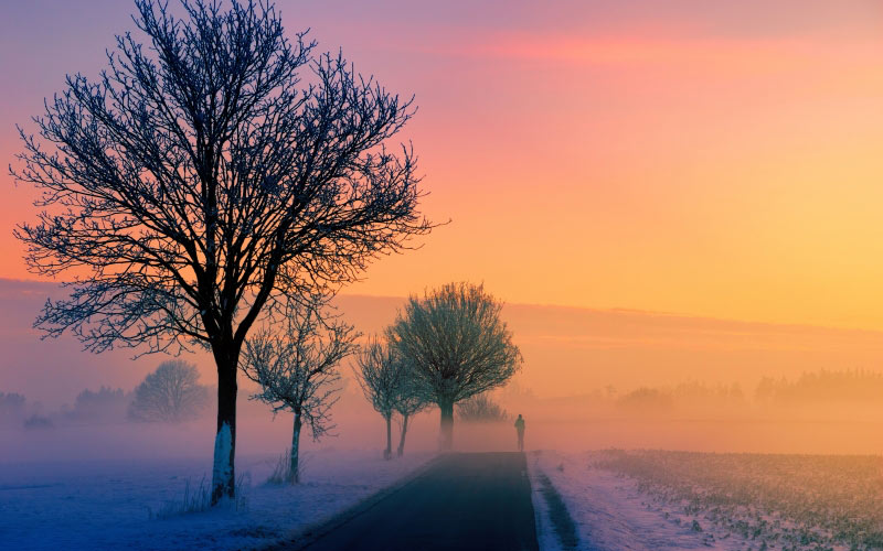 morning, winter, fog, dawn, sunset, nature, landscape, jogger, road, away, path, trees, twilight, evening, sky, cold, snow, sky