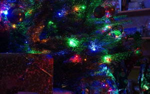 рождественская елка, новогодняя ёлка, дом, канун рождества, рождество, новый год, праздник, огни