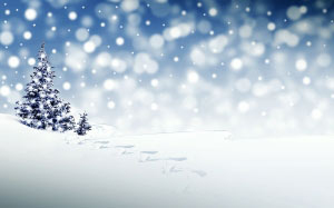 christmas, xmas, new year, snow, winter, christmas time, snowfall, christmas greeting, december, white, blue, landscape, christmas background